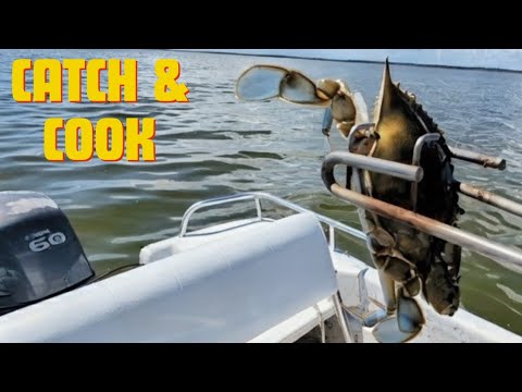 We Pulled our Crab Traps•••Did We Get Lucky? (Catch & Cook)