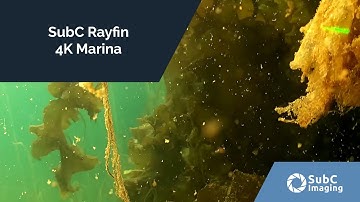 SubC Rayfin 4K Marina