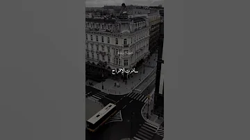 حبيبي بعد غياب أحمد بتشان 