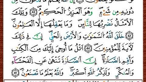 ختمة مصحف التجويد برواية قالون الصفحة رقم 401