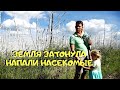 По Болотам Сибири на Машине 🚙 Путешествие в Омск из Тюмени. Сибирь Удивила! Едем в Якутию и Приморье