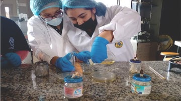 Inquiry-Based Science Education: A Case Study to address the Energy Challenge