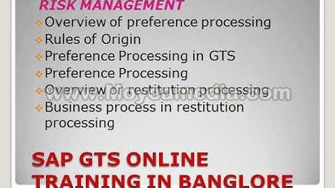 sap gts online training by IT experts