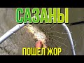 Астрахань.Рыбалка на сазана.Семейный отдых на природе!