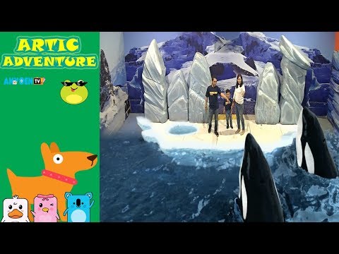 Arctic Adventure 6D