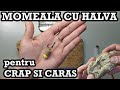 Momeala cocolos cu halva - crap si caras