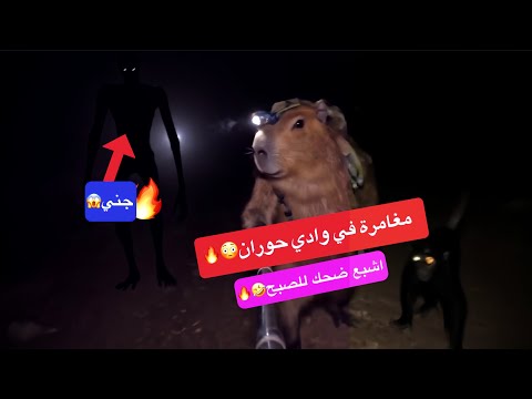مغامرة الى وادي حوران في الثالثه ليلا