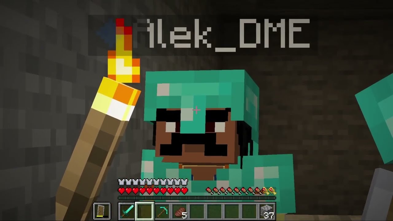 The Minecraft SMP Experience || Season 1 || Part 1.1