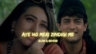 Aaye Ho Meri Zindagi Mein - Lofi Mix | Alka, Udit | Aamir Khan, Karisma | Romantic Slow & Reverb
