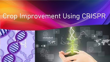 Crispr Mediated Crop Improvement Explained in 9 Minutes