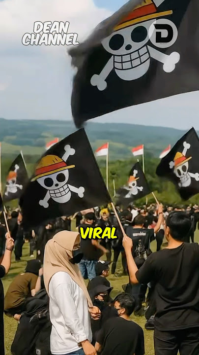 Viral!! Why is the One Piece flag banned in Indonesia?