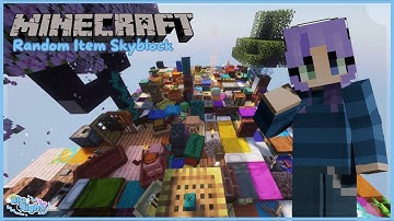 Random Item Skyblock | Funny Moments
