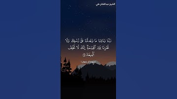 تلاوه هادئه من سورة آل عمران من محراب مسجد شكيب #تلاوات_المحراب_للشيخ_عبدالفتاح_بدير