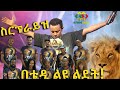 የቴዲ አፍሮ ልደት በተለየ መልኩ ሊከበር ነው! Ethiopia | EthioInfo.