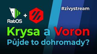 Krysa a Voron - půjde tohle dohromady? #zivystream