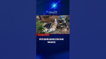 Gấp rút chặn cống, ngăn nước lũ sông Trà Khúc tràn vào đô thị