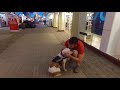 Luna 1 yo Bulldog Best Arizona Dog Trainers Luna 1 yo Bulldog Best Arizona Dog Trainers