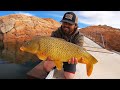 Chasing giant fish in the middle of the desert catch  cook