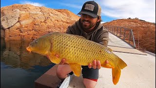 Chasing GIANT Fish in the Middle of the Desert!! (Catch \& Cook)