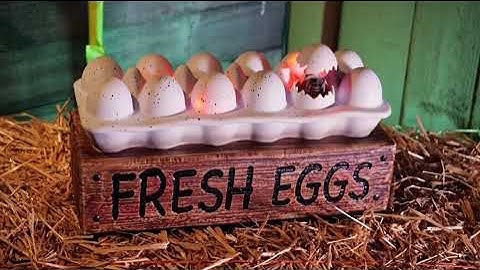 Animated Deviled Eggs Demo Video | Tractor Supply Halloween | NEW FOR 2025