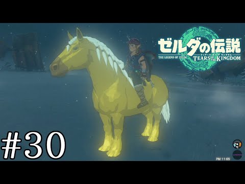 金色の馬【ゼルダの伝説 ティアーズ オブ ザ キングダム】#30