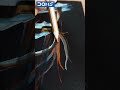 DOMS | Bi Colour Pencils | Bring joy and colour to your art in an exquisite way.