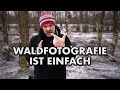 FOTOGRAFIE im WALD - Wie du bessere Fotos im Wald machst