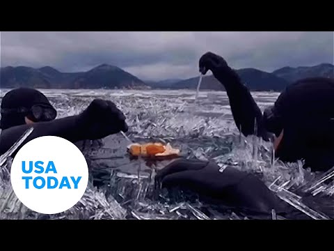 Brave swimmers put on wetsuits for an icy picnic in Siberia | USA TODAY