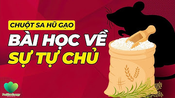 CHUỘT SA HŨ GẠO: BÀI HỌC VỀ SỰ TỰ CHỦ