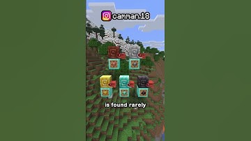 NEW UPDATE! Mounts Of Mayhem Is Here! (1.21.11)