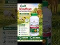 Premium Veterinary Feed Supplement for Healthy Growth &amp; High Productivity 🐄
