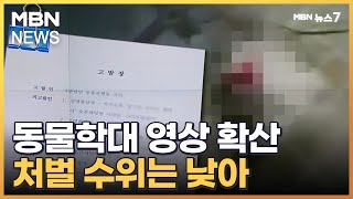 잔혹한 동물학대 영상 SNS 확산하는데…처벌 수위는 낮아 [MBN 뉴스7]