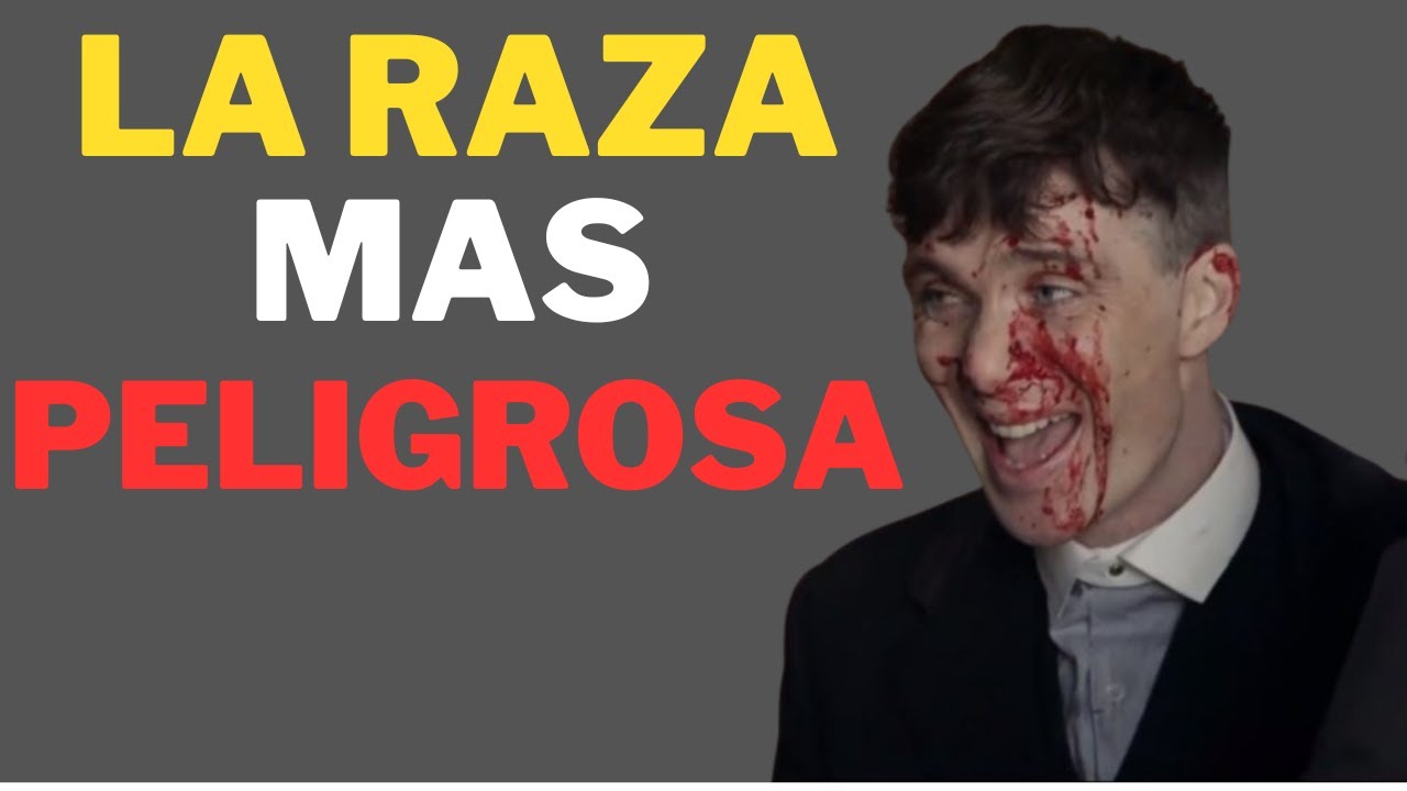 7 Formas en Que los Hombres Sigma Muestran Que Son Peligrosos