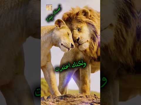 كنت النبض وبقيت الخنجر اللي كسرني كلام من القلب كلام من ذهب اكسبلور الحياه اقتباسات 