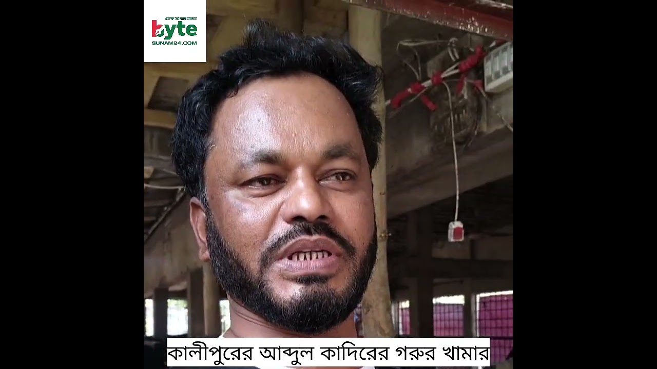 সুনামগঞ্জে গরুর খামার