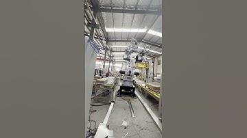 Industry 4 Axis Robot Robotic Arm Manipulator Palletizing Line with Roller Conveyor #palletizer