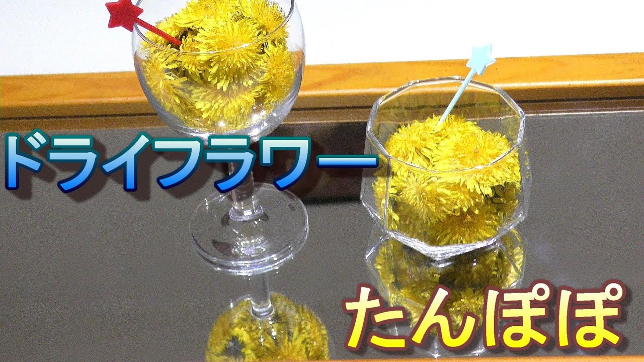 ドライフラワーの作り方 たんぽぽ - YouTube