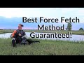 Best Force Fetch Method Guaranteed!