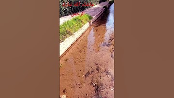ما احلى تلاوة القرآن الكريم سبحان الله وبحمده سبحان الله العظيم