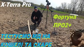 Тестуємо МД X terra Pro та Фортуна Про 2+ на скарби