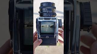 A Quiet View Across the Water | Hasselblad 202FA & CFV 100C