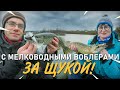 С воблерами за щукой. Ловля с лодки на мелководье