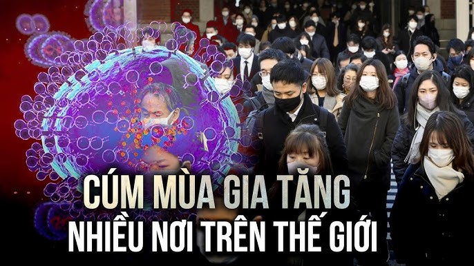 Khám Phá Thế Giới Chăm Sóc Sức Khỏe Từ Https//havircin.com/ - Dẫn Lối Đến Cuộc Sống Khỏe Mạnh
