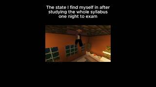 reading a night to exam meme😴🫩 #minecraft #animation #meme #funny