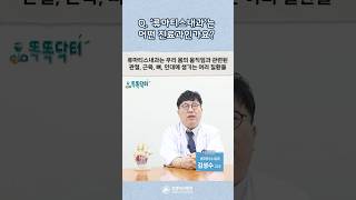 '류마티스내과'는 어떤 진료과인가요?