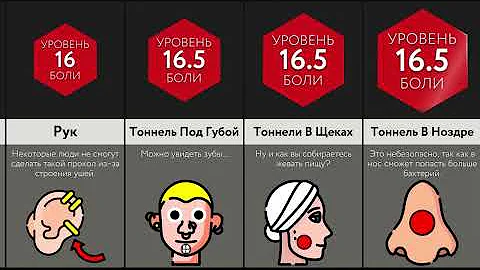 Где Сделать Пирсинг?