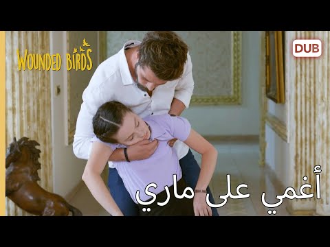 أغمي على ماري الطيور المجروحة 101