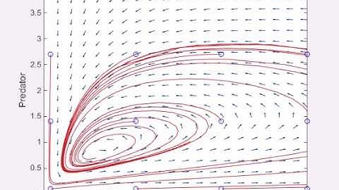 Biologicial System - Prey Predator - deterministic phaseportrait