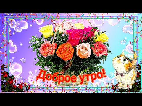 ДОБРОЕ УТРО! ВОТ И ОСЕНЬ. КРАСОЧНЫЙ, ВОЛШЕБНЫЙ, МУЗЫКАЛЬНЫЙ РОЛИК ❤️🥰