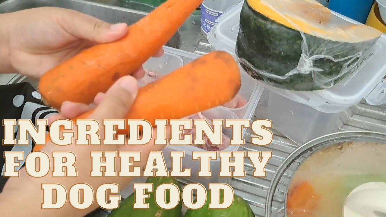 What Is A Healthy Dog Food Recipe